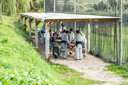 Paradise Paintball