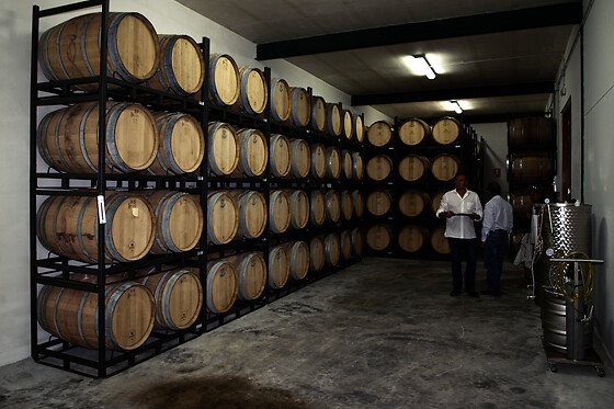 BODEGAS AL ZAGAL - photo 3