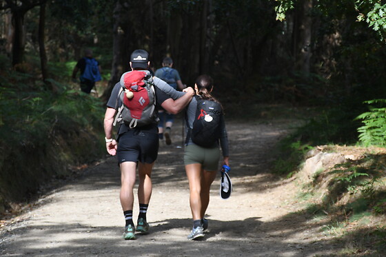 CAMINO COMPOSTELA - photo 11