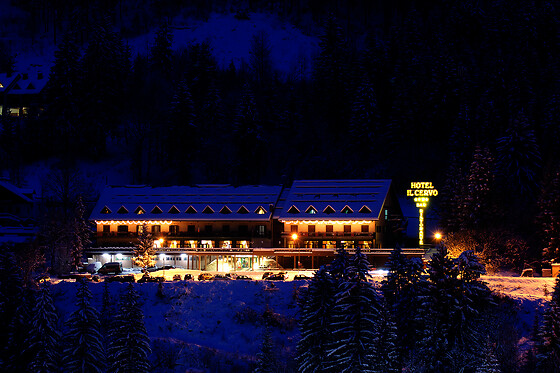 Hotel il Cervo - photo 1