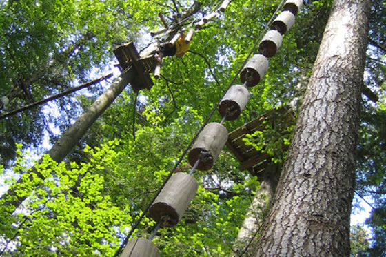 Alsace Aventure - photo 4