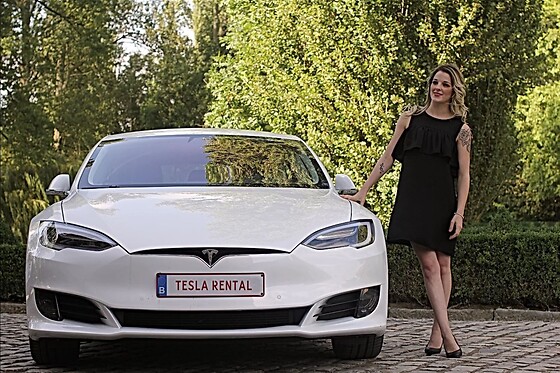 Tesla Rental - photo 6