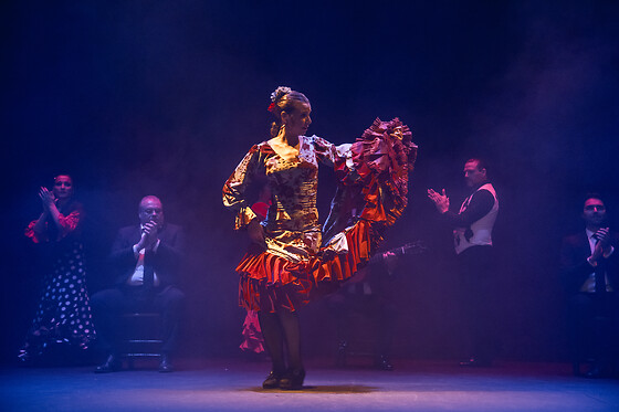 TEATRO FLAMENCO SEVILLA - photo 0