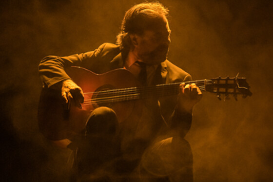 TEATRO FLAMENCO SEVILLA - photo 11