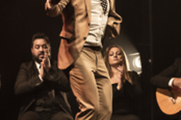 TEATRO FLAMENCO SEVILLA