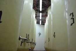 BODEGA CAMPOS DE DULCINEA