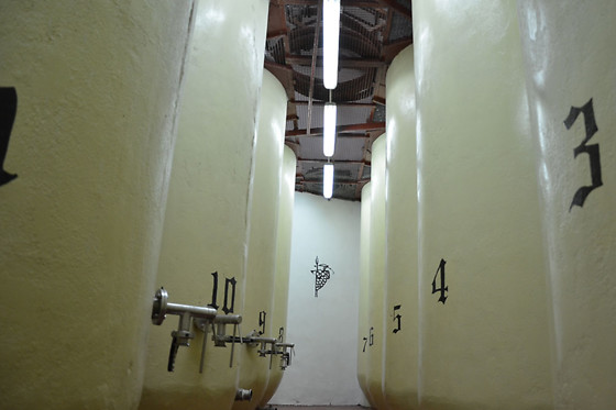 BODEGA CAMPOS DE DULCINEA - photo 3
