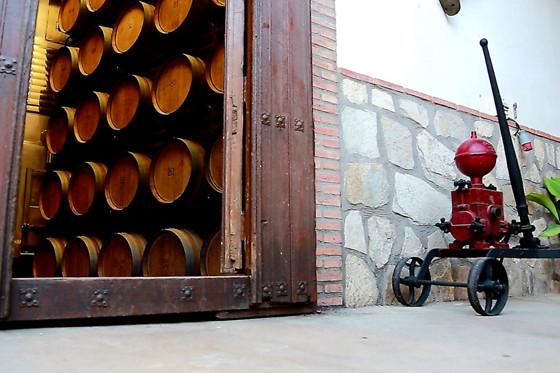 BODEGA CAMPOS DE DULCINEA - photo 5