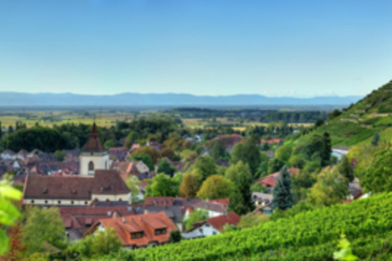 Fauststube im Löwen - photo 5