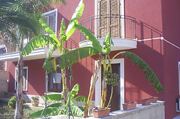 Villa Pollina B&B