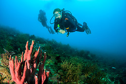 HOTEL SPA PORT D'ARO