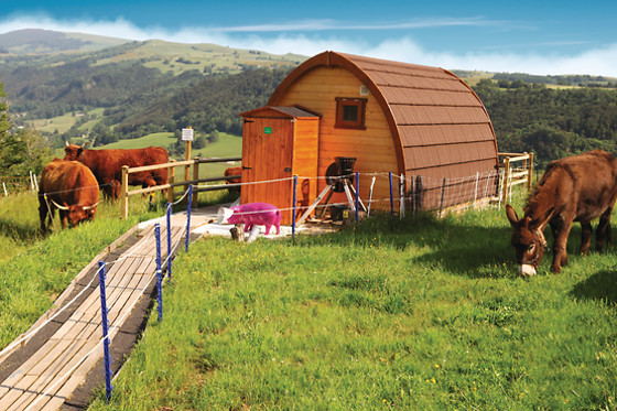 Domaine de la chaux de revel - photo 3
