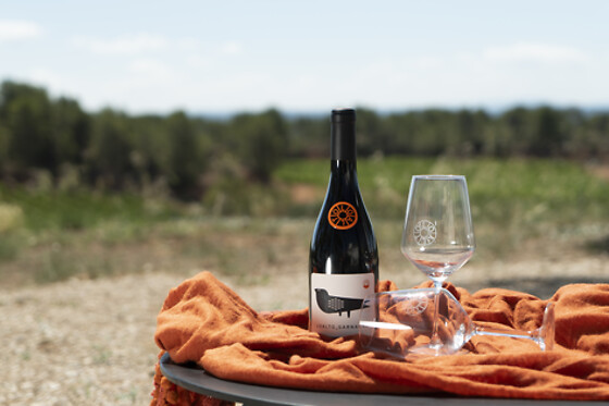 BODEGAS LOALTO - photo 2