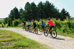 SENSATION VTT
