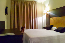 HOTEL MADRID TORREJON PLAZA