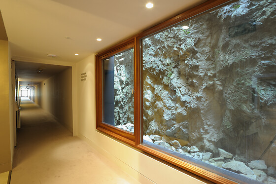 HOTEL RESORT BALNEARIO DE PANTICOSA - photo 6
