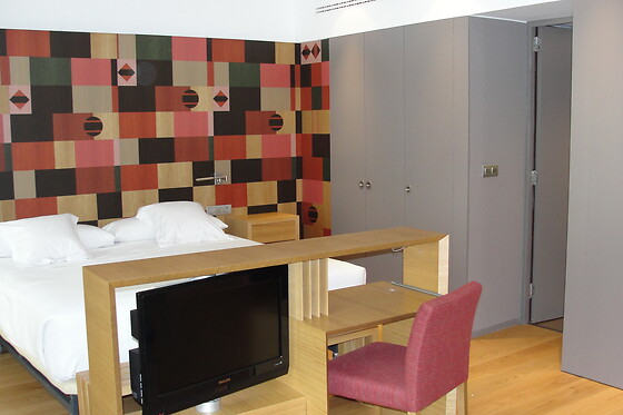 HOTEL RESORT BALNEARIO DE PANTICOSA - photo 29