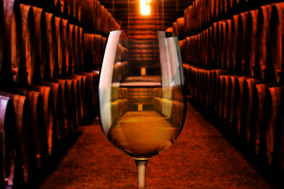 BODEGAS SILLERO - photo 5