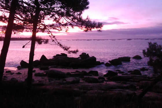 HOTEL BOSQUE MAR - photo 6