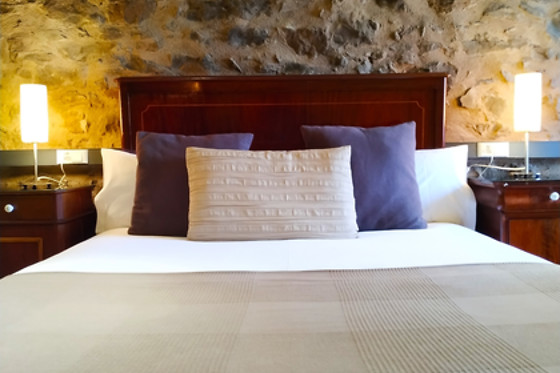 HOTEL RURAL CURIA - photo 5
