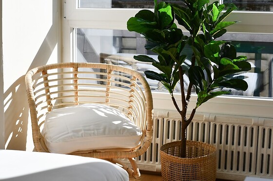 Online Booking EPS - photo 0