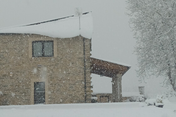CASA OS PRADOS DA ALBELA - photo 7
