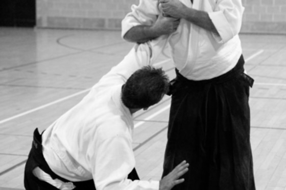Aïkido Shugyo Dojo Brabant Wallon - photo 9