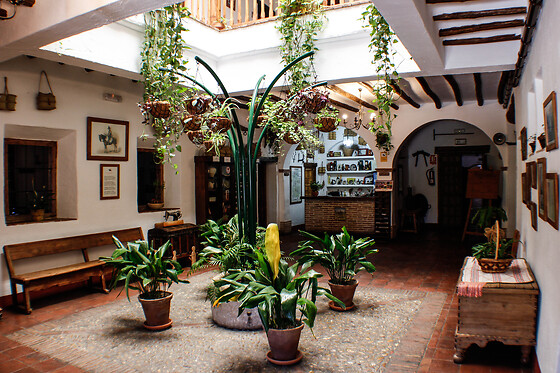 POSADA EL TEMPRANILLO - photo 1