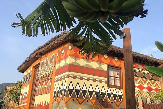 AFRIKAN KRISANT TENERIFE - photo 5