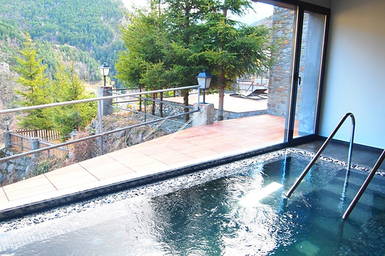 ABBA XALET SUITES HOTEL - photo 4