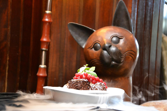 O GATO DO RIO - photo 14