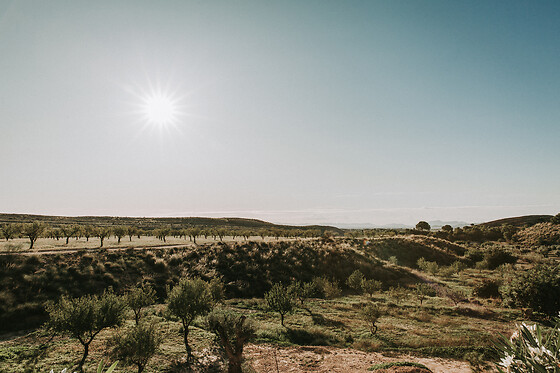 FINCA EL POCICO - photo 52