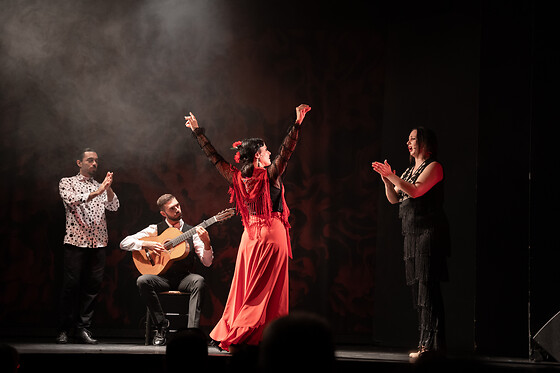 TEATRO FLAMENCO BARCELONA - photo 2