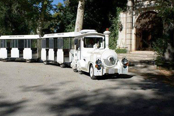 CHIQUITREN ARANJUEZ - photo 5