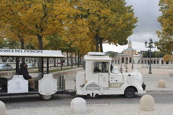 CHIQUITREN ARANJUEZ - photo 7