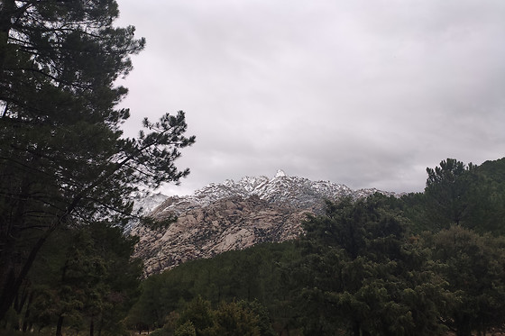 NATURANDA - photo 34