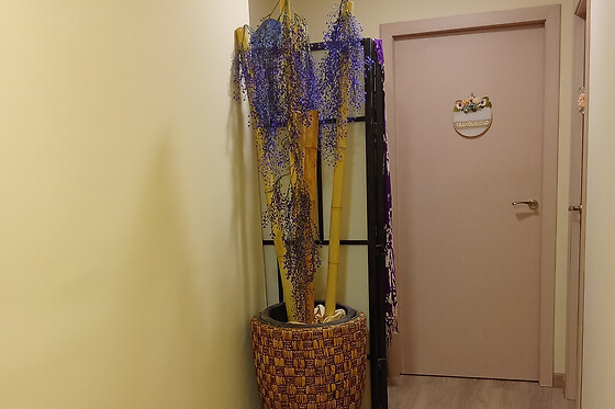 WELLNESS AVENIDA - photo 7