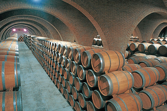 BODEGA DEL NERO - photo 4